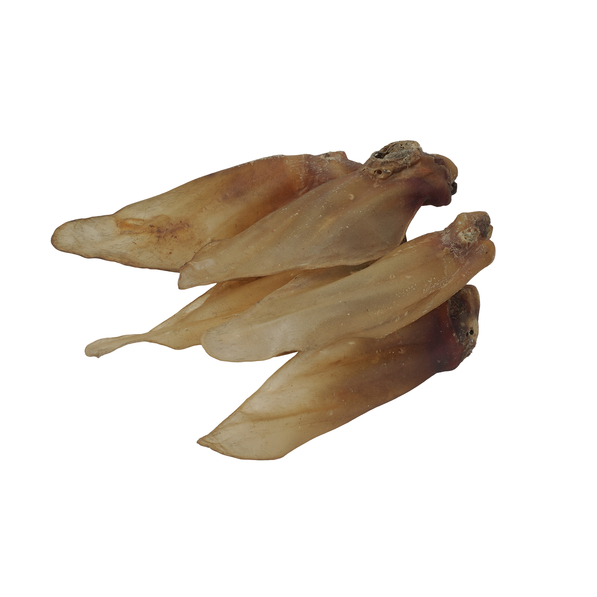 Petrix Buffalo Ears Natural Dog Chew Treat, 5 Pcs (11 Inch)