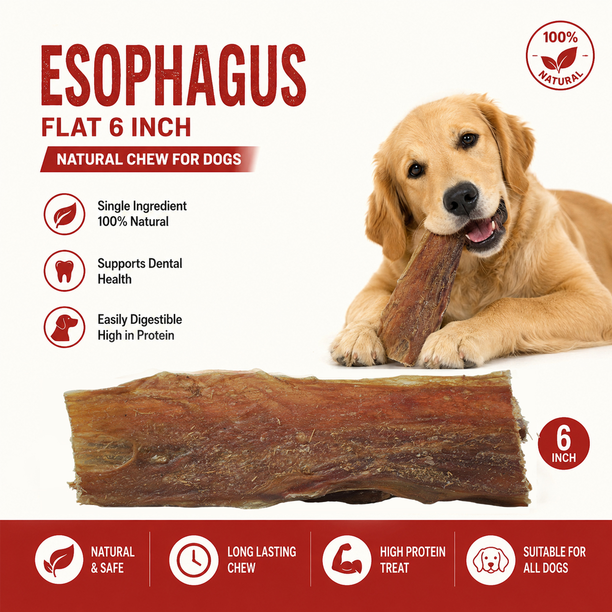 Petrix Flat Esophagus Natural Dog Chew Treat, 10 Pcs (6 Inch)