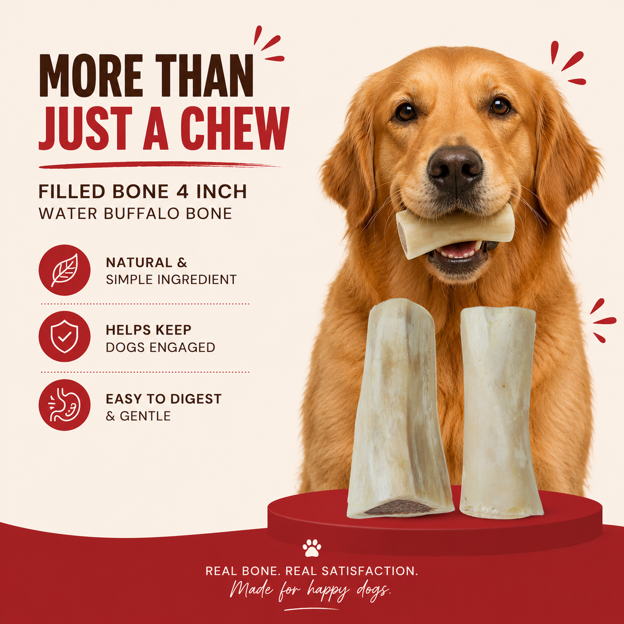 Petrix Filled Bone Dog Chew Treat, 2 Pcs (4 Inch)