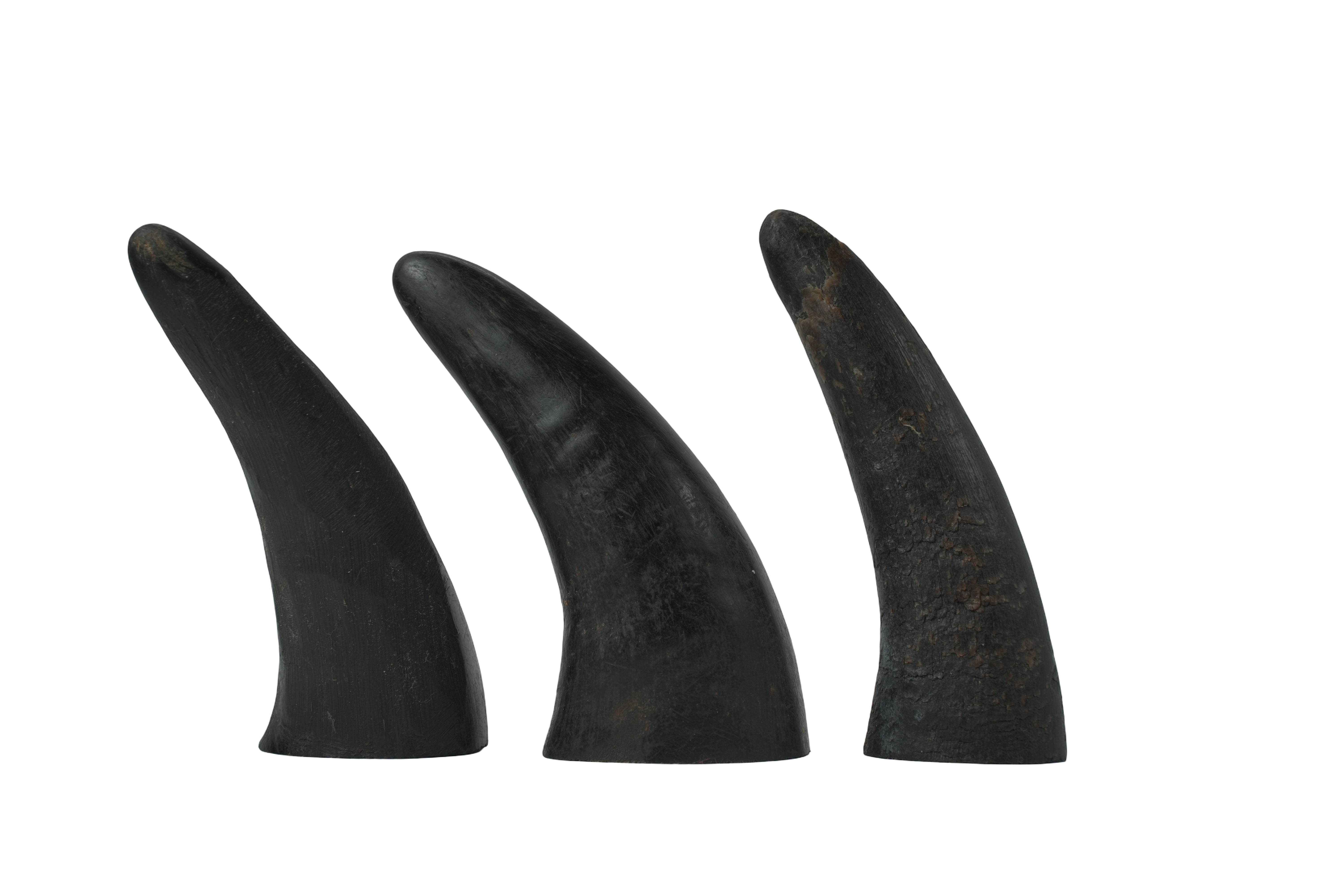 Petrix Natural Horn Dog Chew Treat, 3 Pcs (4 Inch)