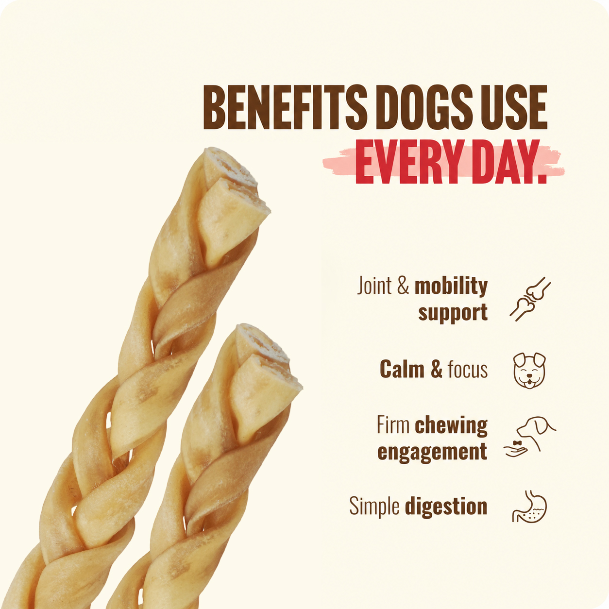 Petrix Collagen Braided Stick Dog Chew Treat, 4 Pcs (12 Inch)