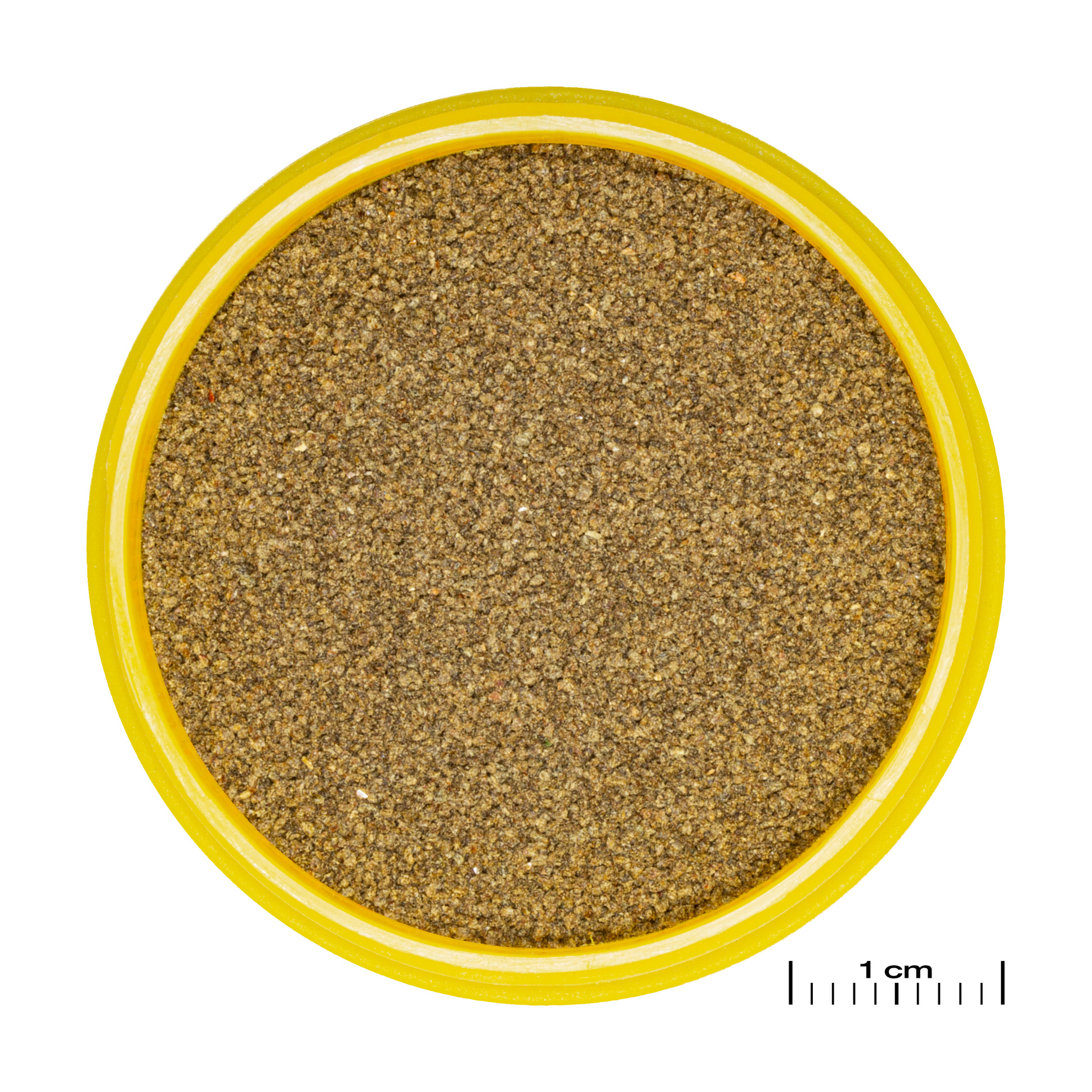 JBL Pronovo Neon Grano XXS 100Ml