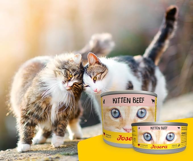 Josera Beef Cat wet Food 200g