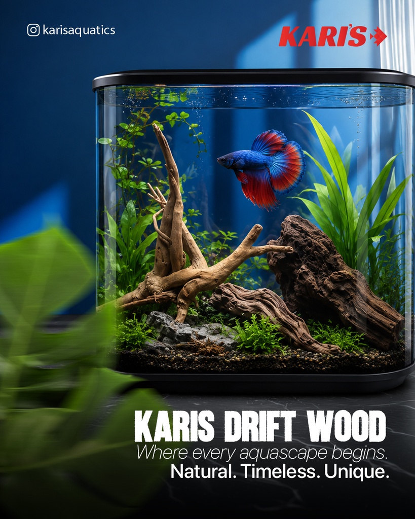 Karis Aqua Root Drift Wood-Small & Large 1pc