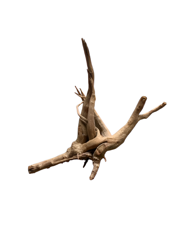 Karis Aqua Scape Mangrove-Small, Medium & Large 1 pc