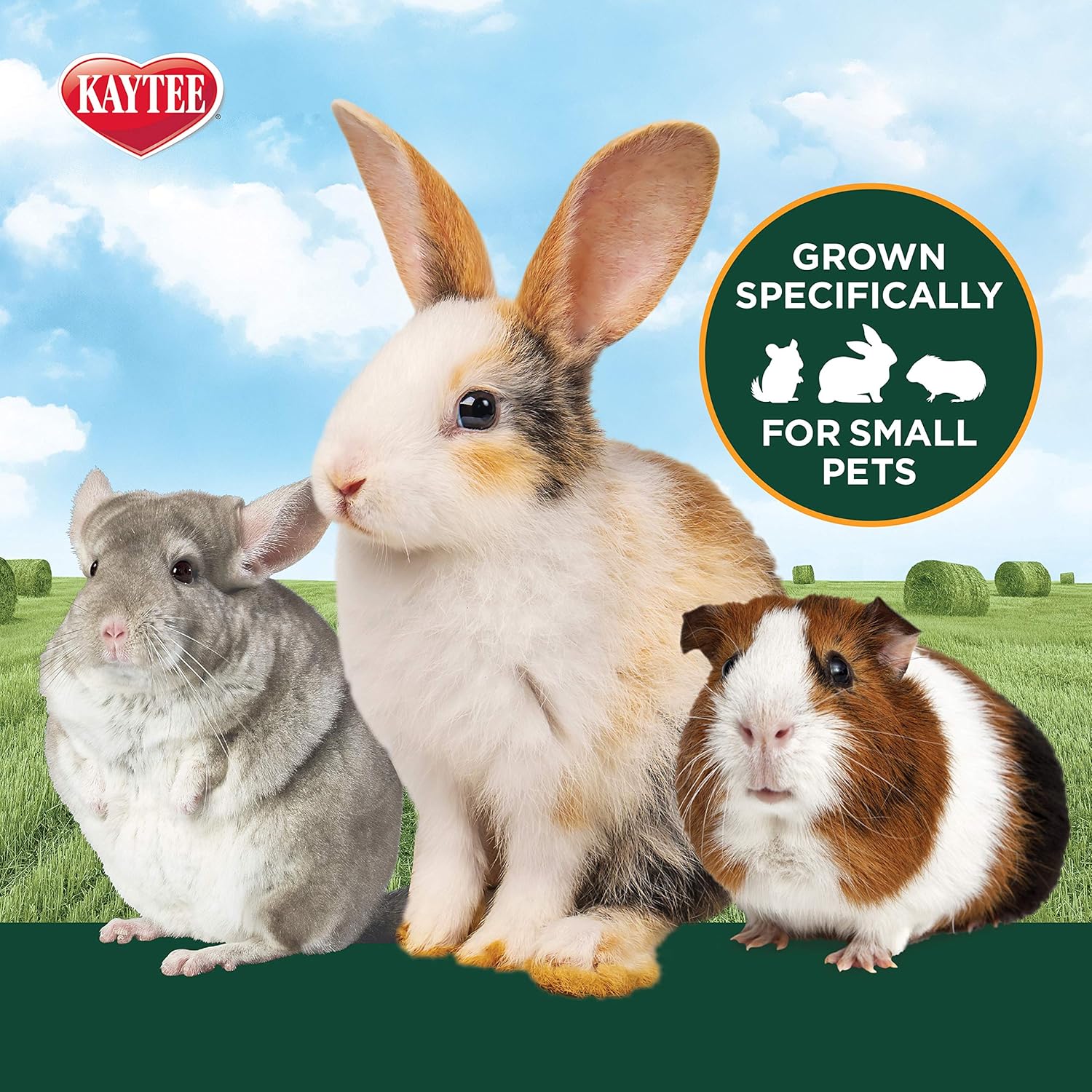 Kaytee KT Timothy Hay For Small Animals 6/24OZ/700g