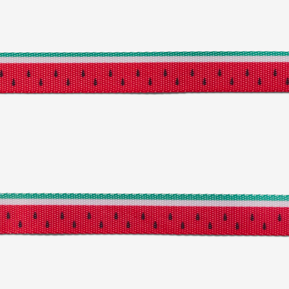 Zee.Cat Lola Harness & Leash Set