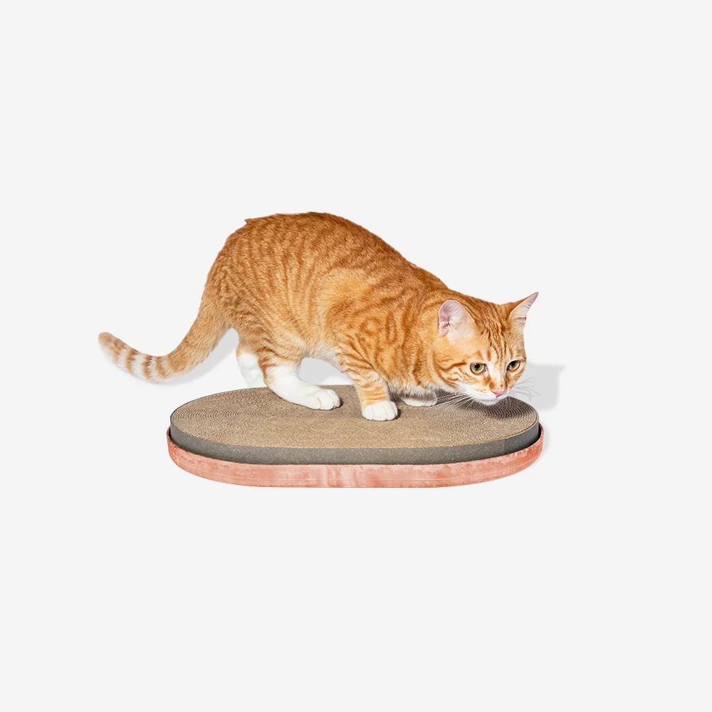 Zee.Cat Citrus Cat Scratcher