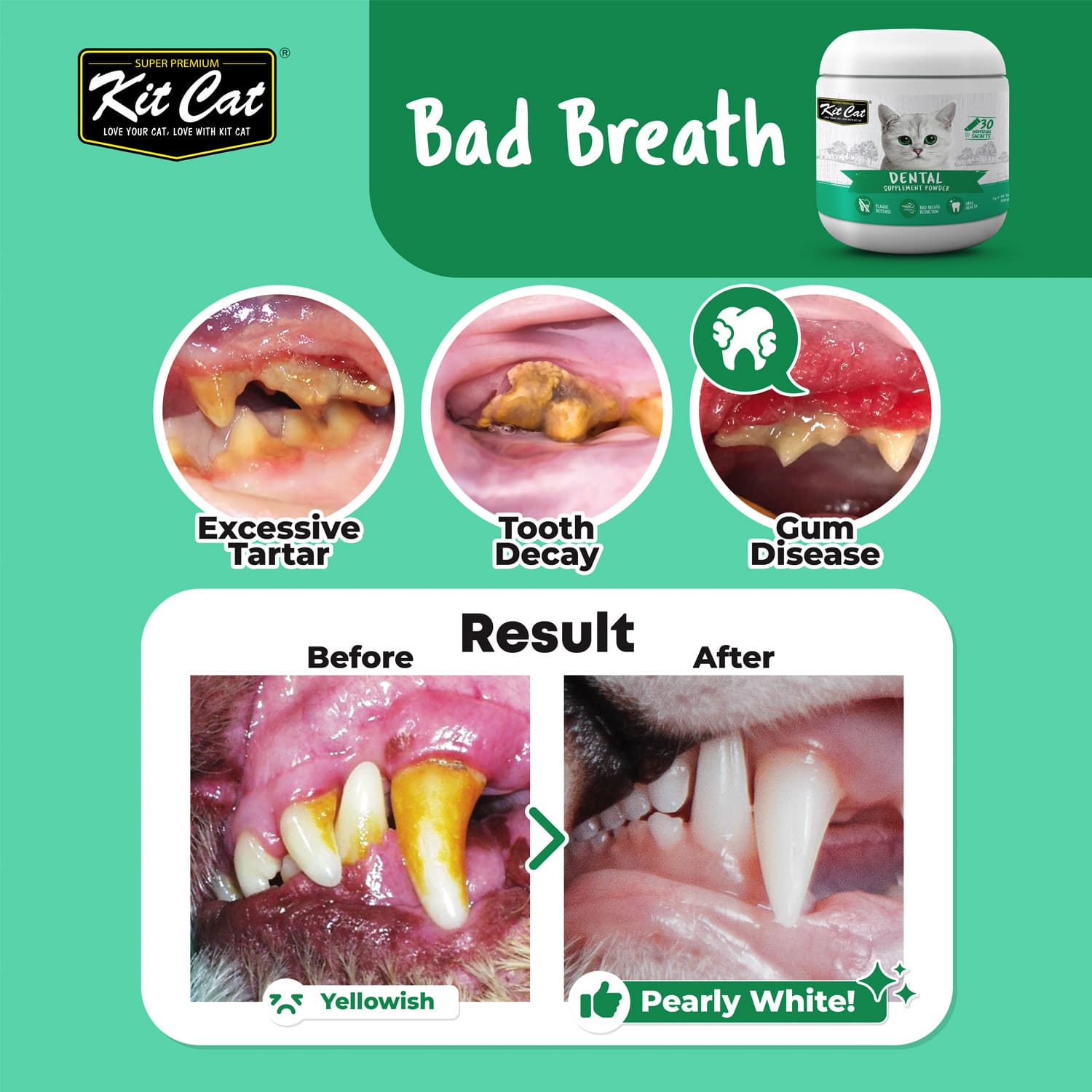 Kit Cat Dental Supplement Powder 150g (5g x 30 Sachets)