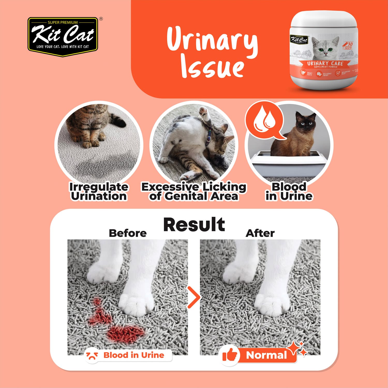 Kit Cat Urinary Care Supplement Powder 150g (5g x 30 Sachets)