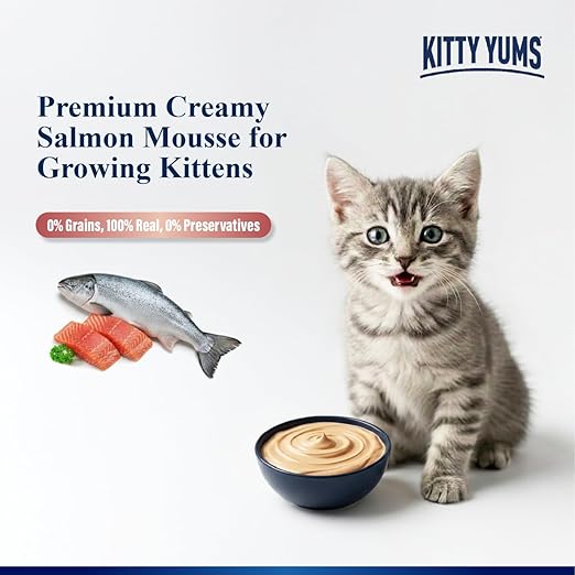 Kitty Yums Salmon Mousse Kitten Wet Food (80g x 24),1.92kg