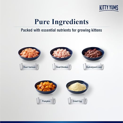 Kitty Yums Salmon Mousse Kitten Wet Food (80g x 24),1.92kg