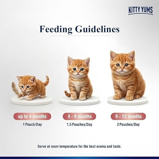 Kitty Yums Salmon Mousse Kitten Wet Food (80g x 24),1.92kg