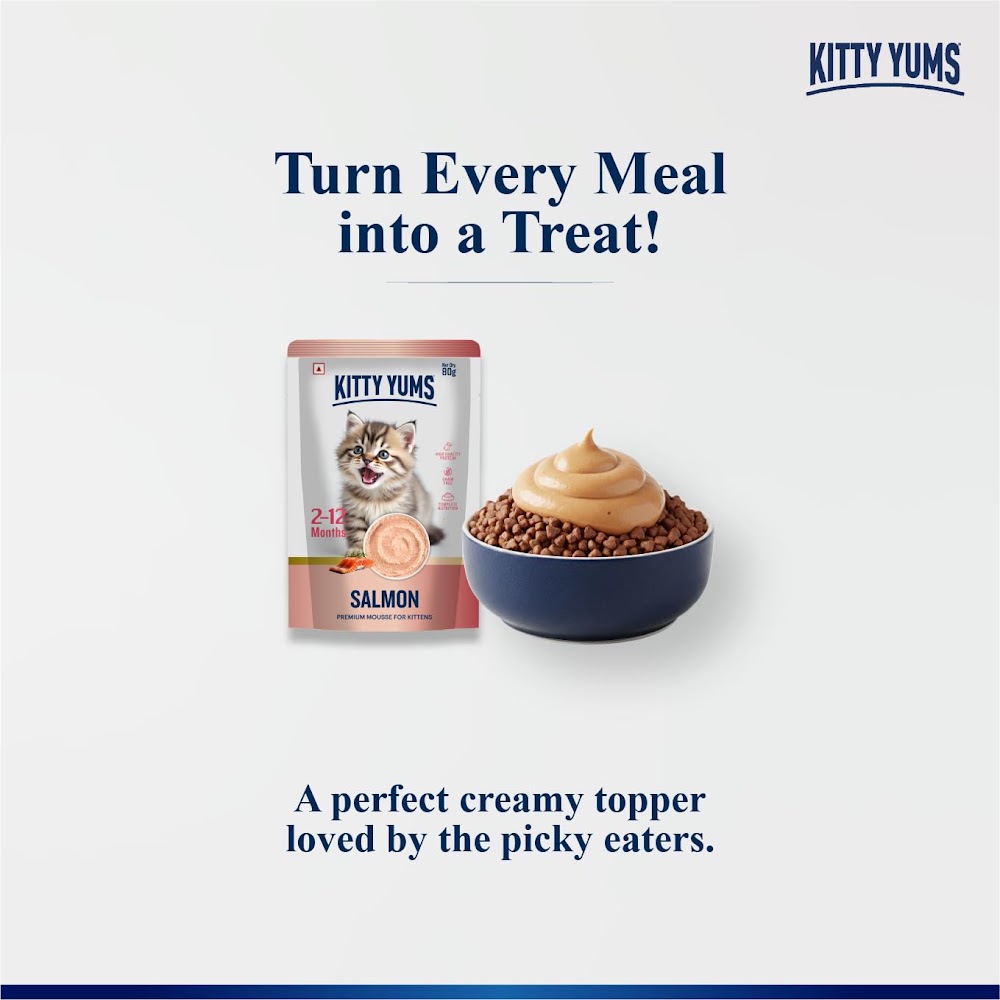 Kitty Yums Salmon Mousse Kitten Wet Food (80g x 24),1.92kg