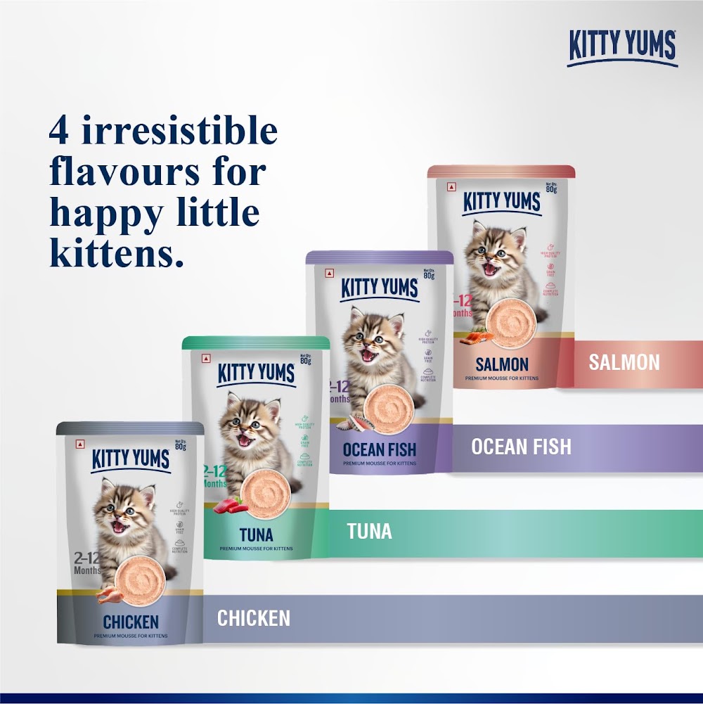 Kitty Yums Salmon Mousse Kitten Wet Food (80g x 24),1.92kg