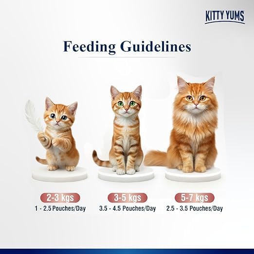 KittyYums SalmonMousseCat 80gm (5+1)pc