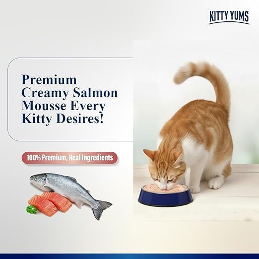 KittyYums SalmonMousseCat 80gm (5+1)pc