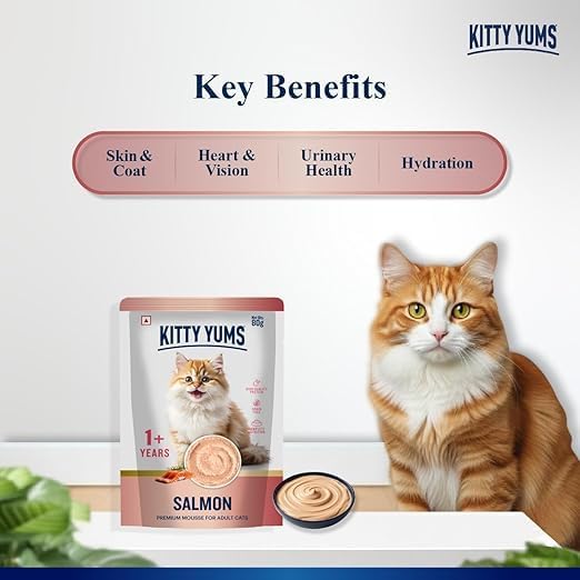 KittyYums SalmonMousseCat 80gm (5+1)pc
