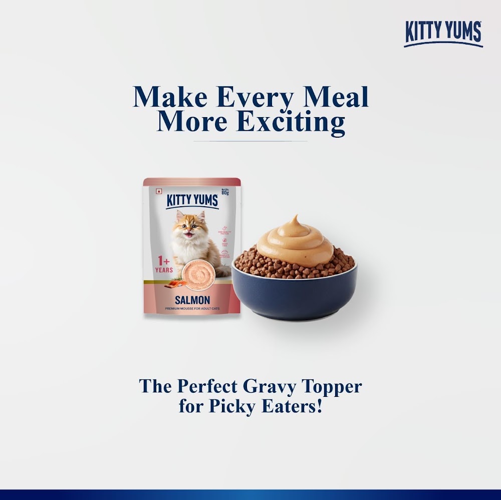 KittyYums SalmonMousseCat 80gm (5+1)pc
