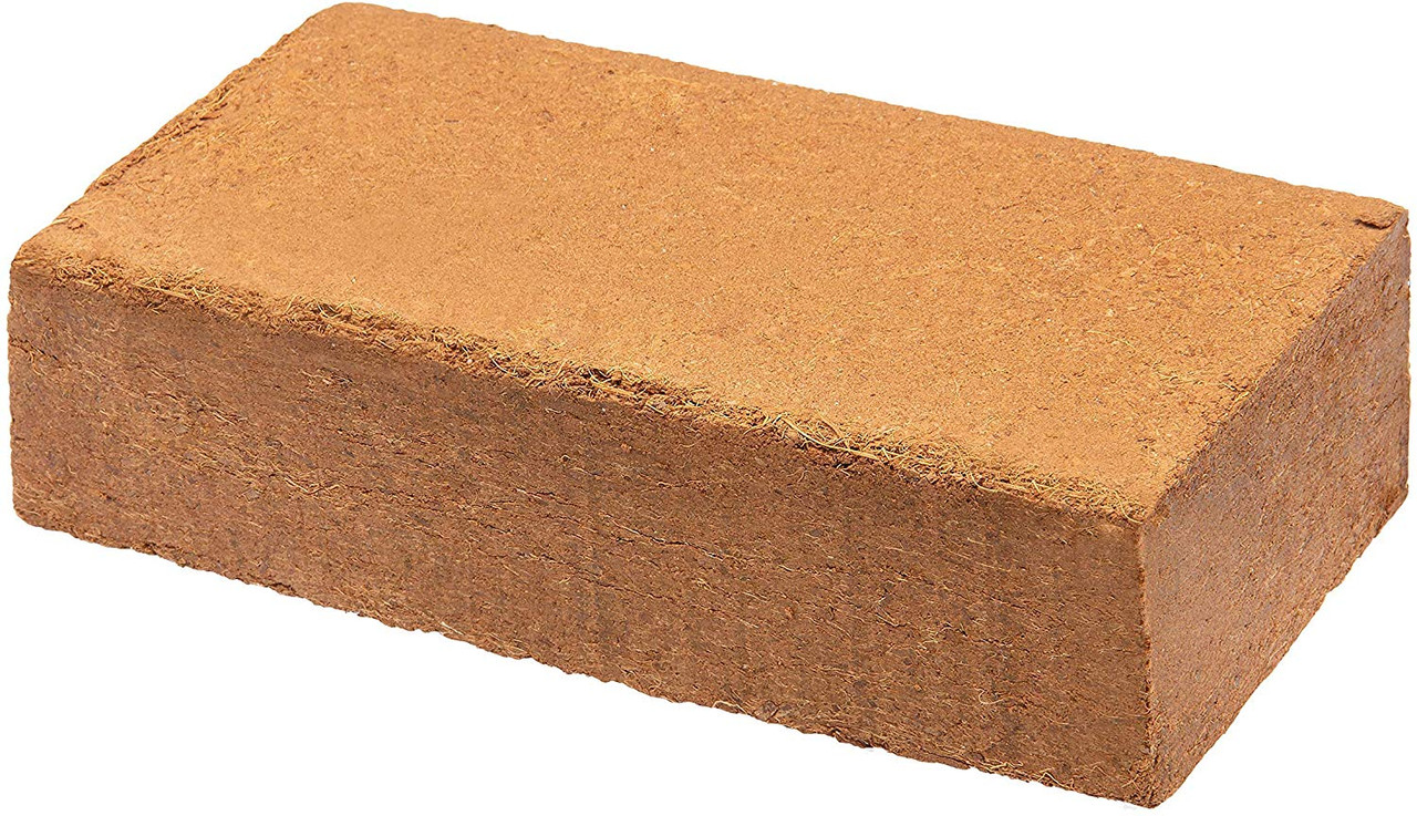 Komodo Tropical Terrain Compact Brick