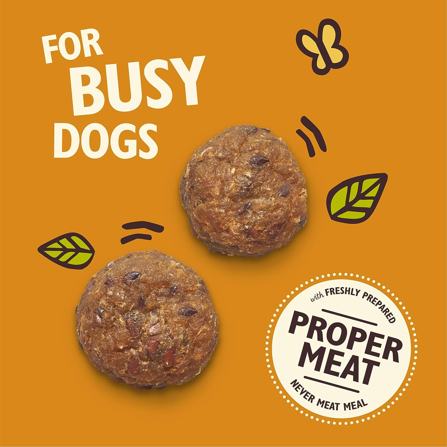 Lily's Kitchen Chicken Protein Bites for Dogs (40g) -Pack of 12