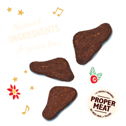 Lily's Kitchen Festive Christmas Turkey Jerky Dog Treats 70g