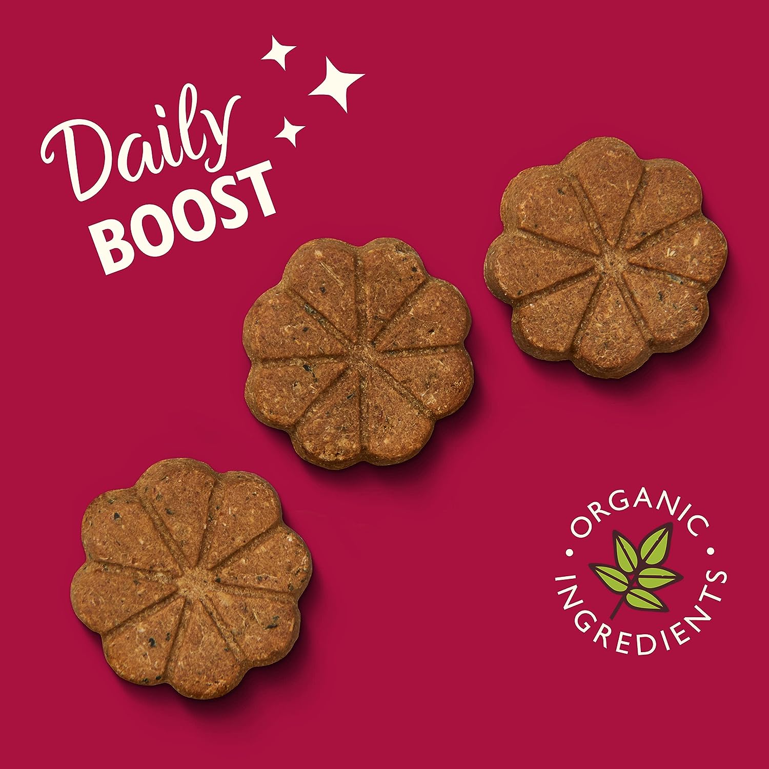 Lily's Kitchen Organic Rise & Shine Bake Treats for Dogs (80g) -Pack of 12