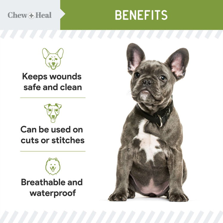 Chew & Heal - Liquid Bandage for Dogs 4oz - 250gm