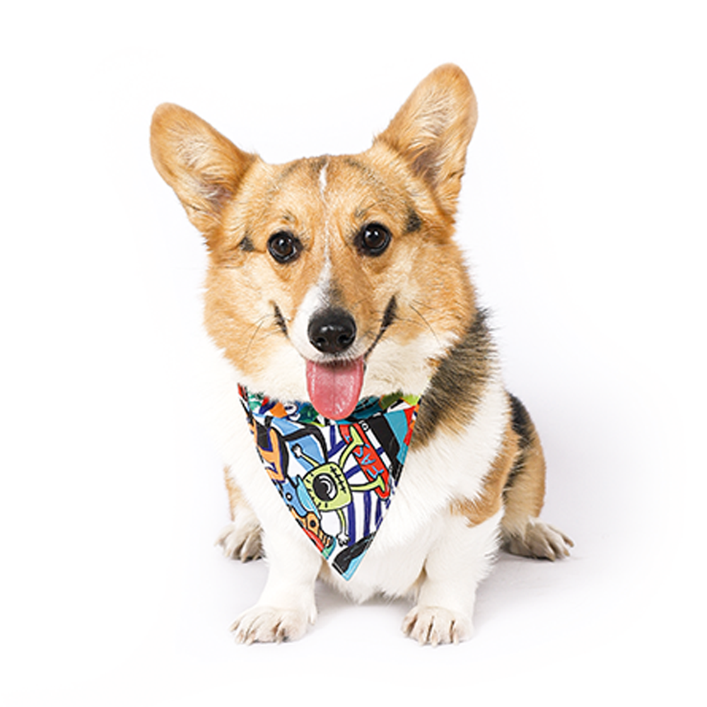 M-PETS Freestyle Bandana Collar – Small