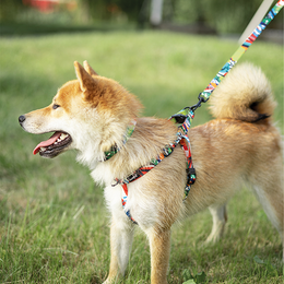 M-Pets Freestyle Leash M