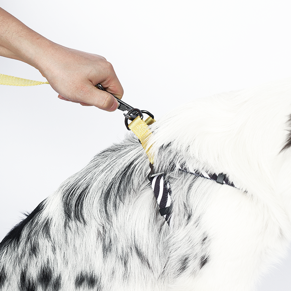 M-Pets Wild Safari Harness L