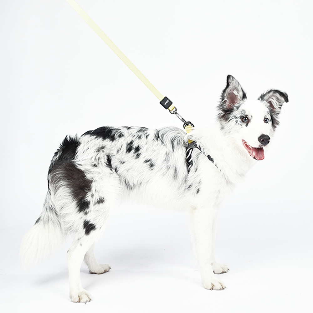 M-Pets Wild Safari Harness L