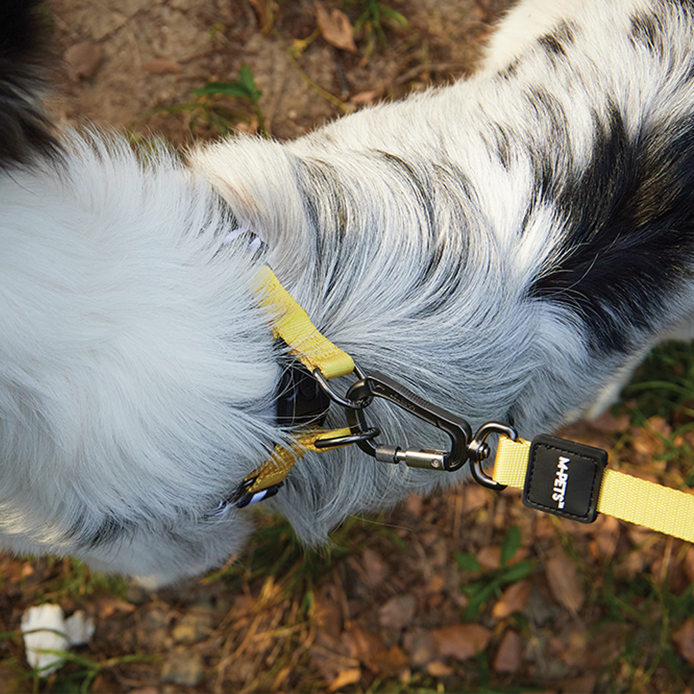 M-Pets Wild Safari Harness L