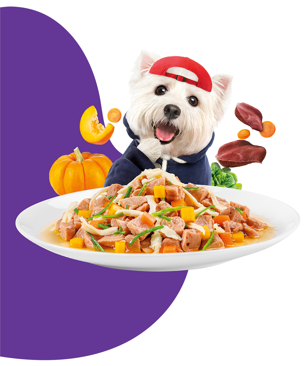 Moochie Casserole with Chicken Liver - Digestive Care Pouch 85g