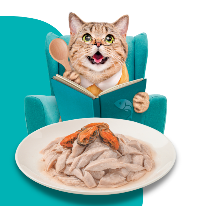 Moochie Cat Food Tuna & Green Lipped Mussel Recipe in Gravy Pouch 70g Pack of 12
