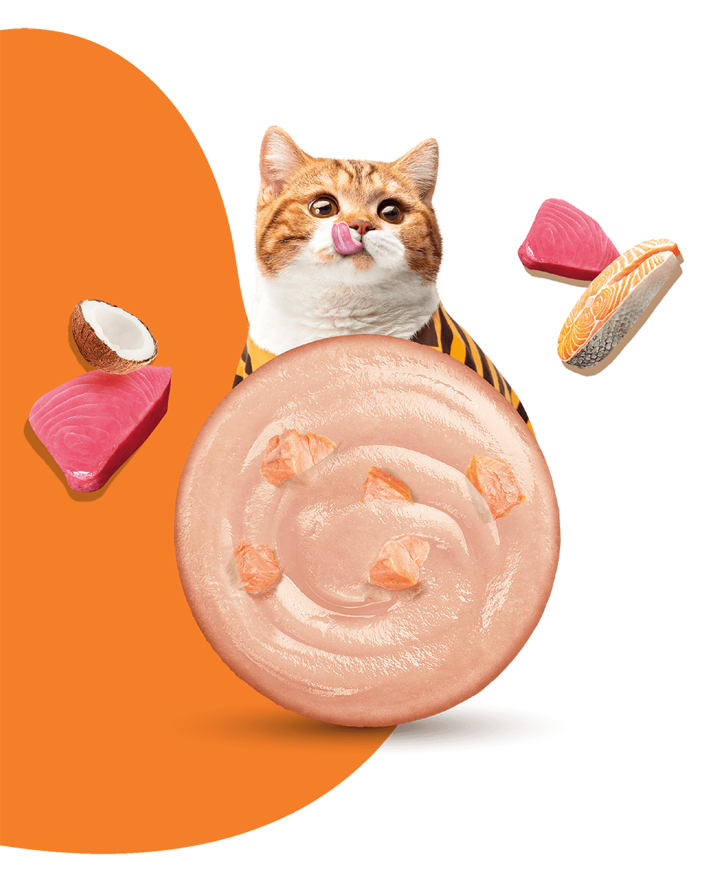 Moochie Cat Food Tuna Mousse with Salmon Pouch 70g Pack of 12