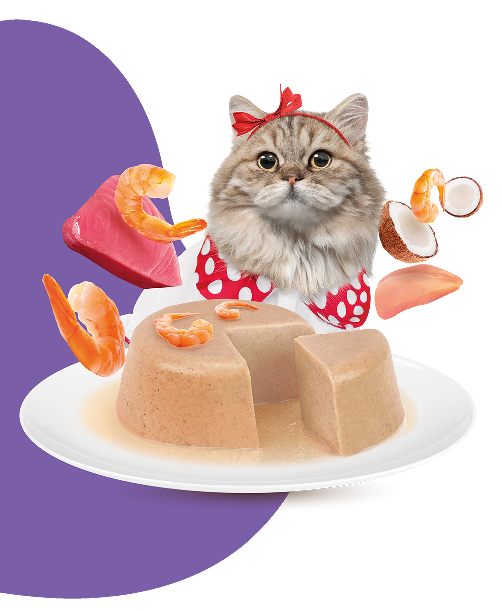Moochie Cat Food Tuna & Scallop Recipe in Jelly Pouch 70g Pack of 12