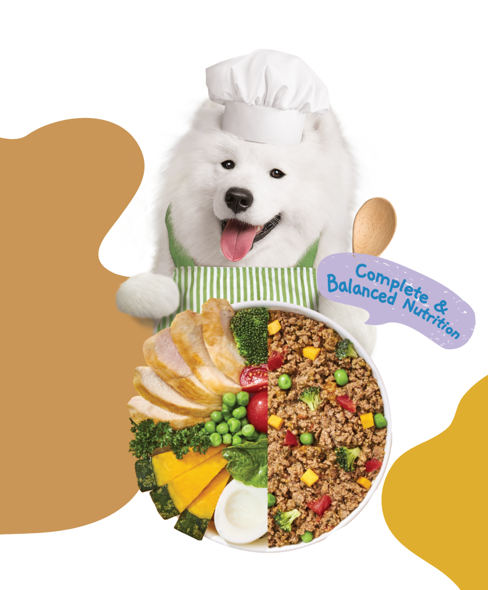 Moochie Home Cooked Dog Food - Beauty Skin & Coat - Chicken, Pumpkin & Tomato Recipe 255g