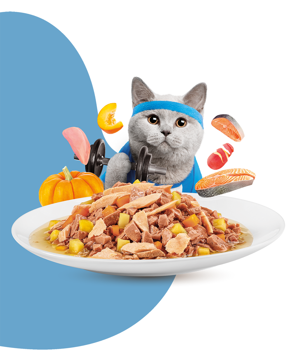 Moochie Mince with Salmon - Weight Control Pouch 70g