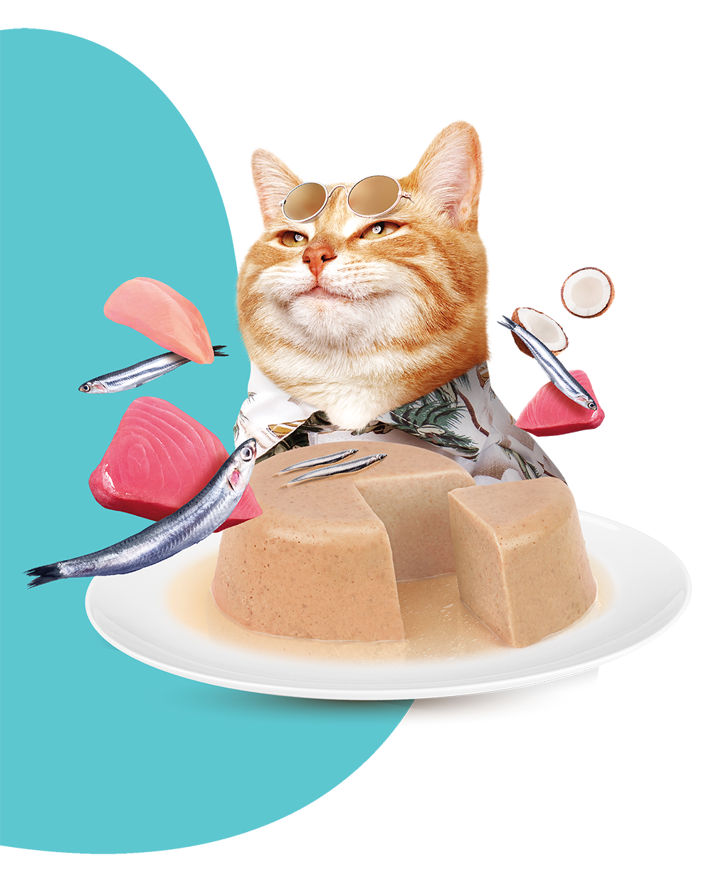 Moochie Tuna & Bonito Recipe in Jelly Pouch 70g Pack of 12