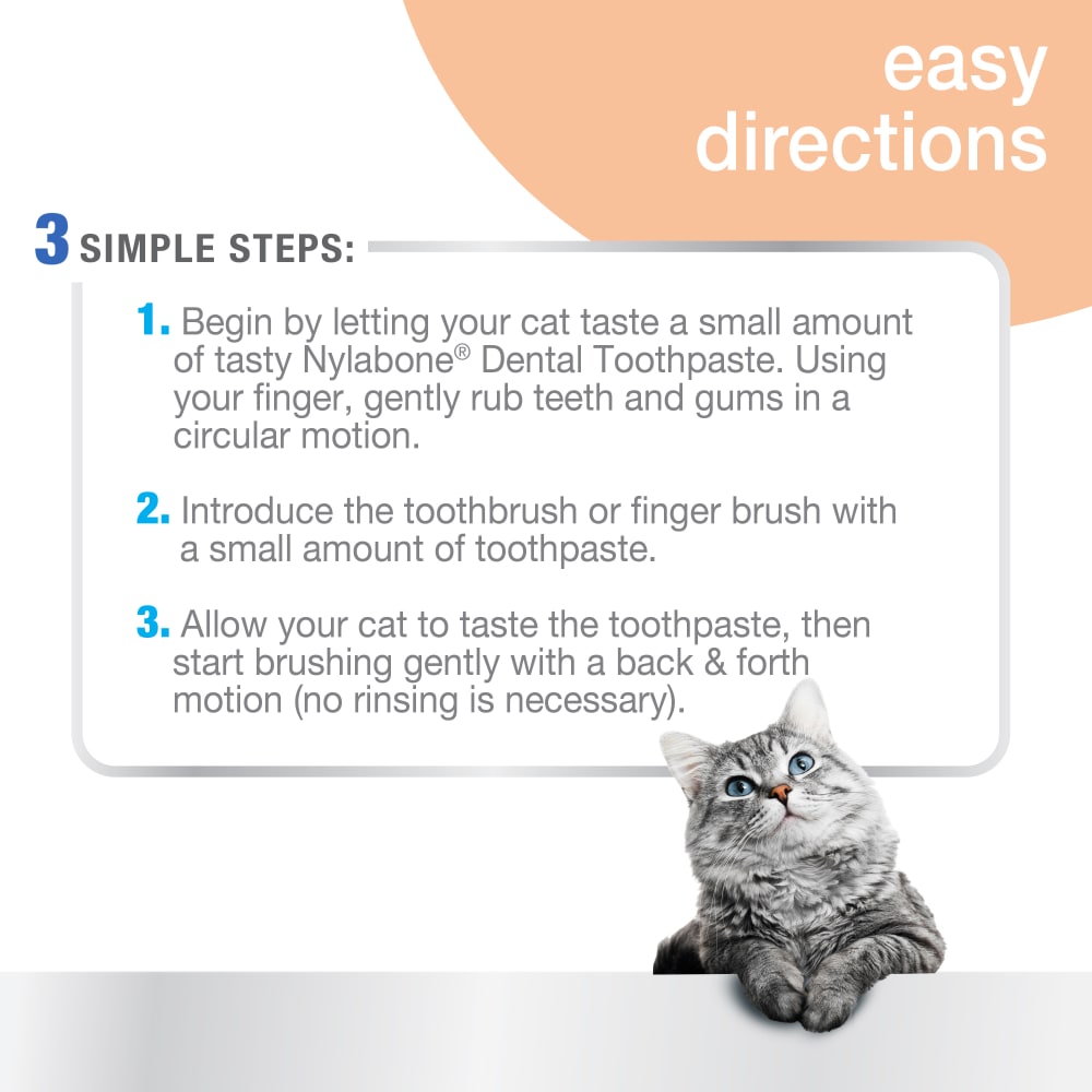Nylabone Advanced Oral Care Cat Dental Kit One Size Dental Hygiene