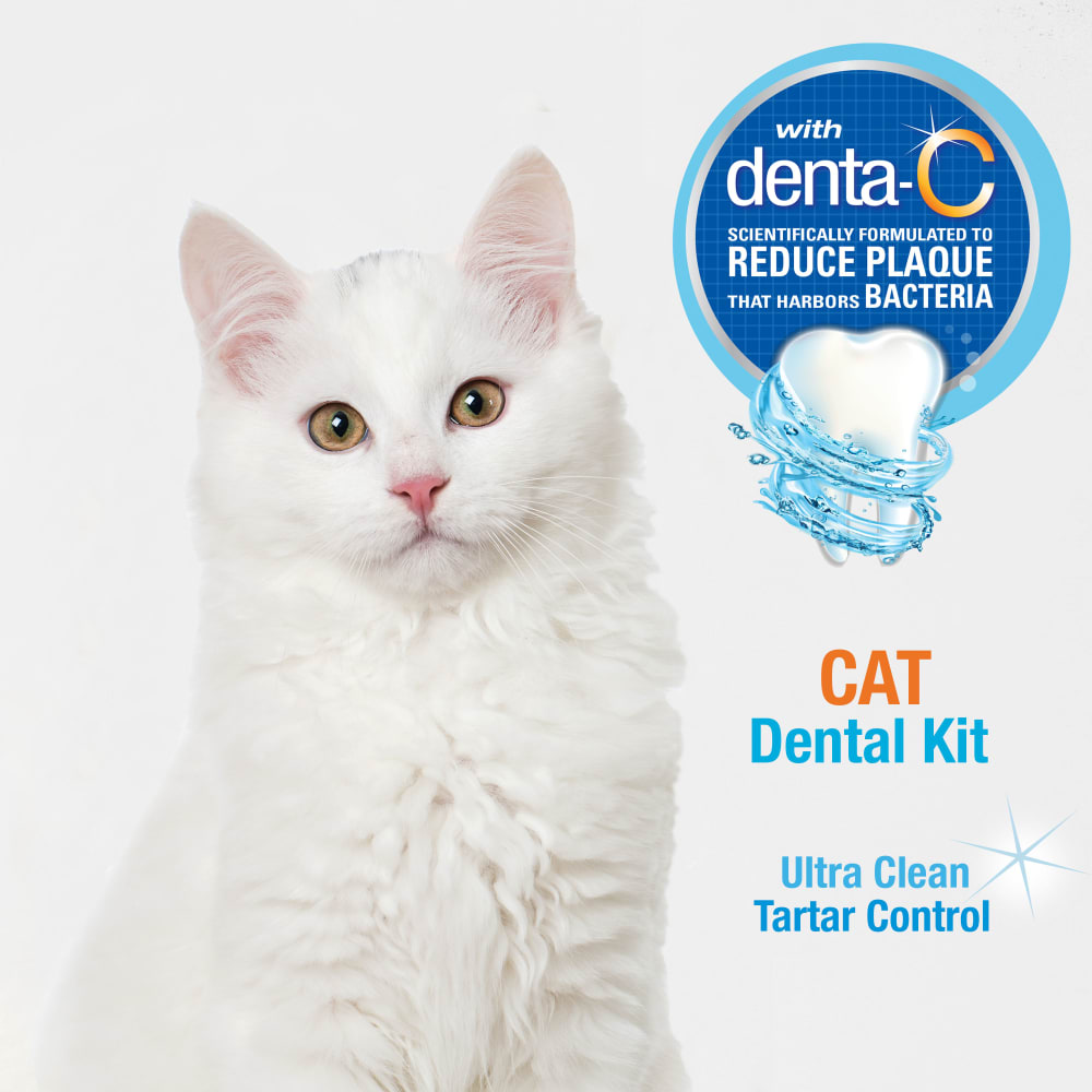 Nylabone Advanced Oral Care Cat Dental Kit One Size Dental Hygiene