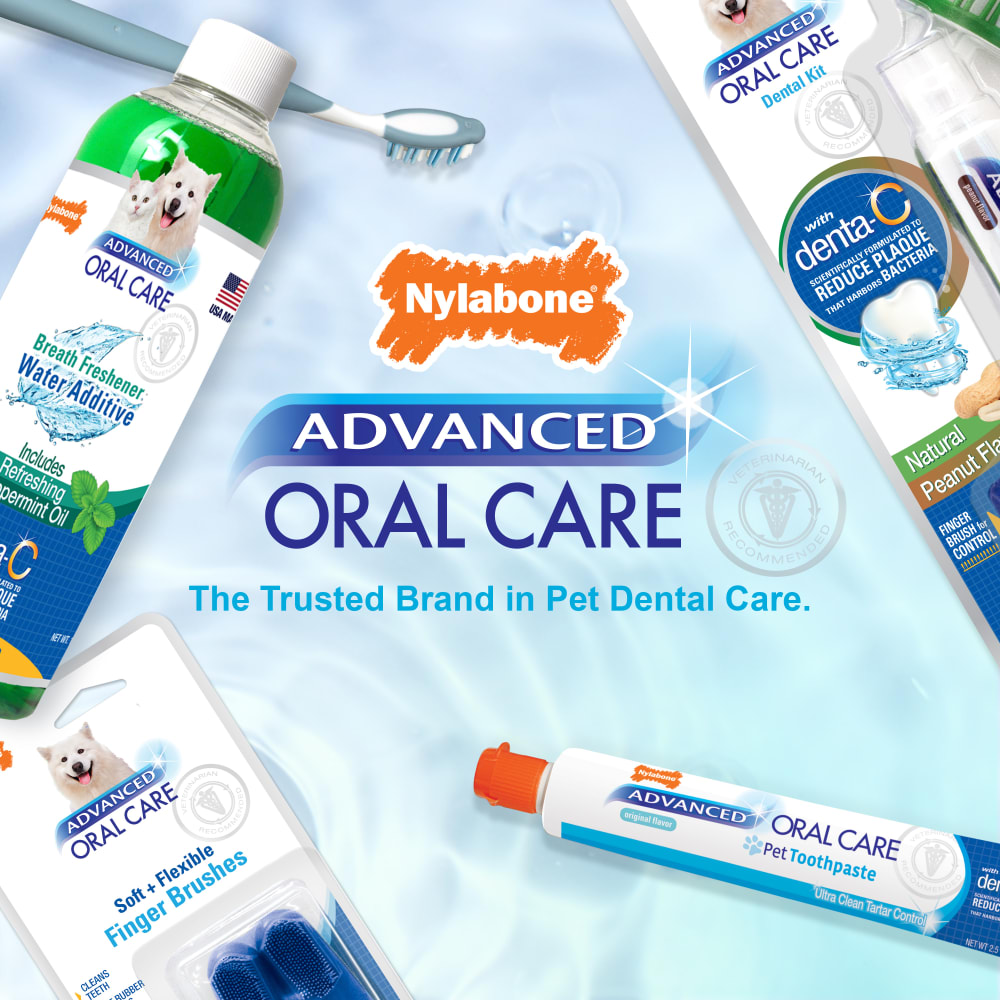 Nylabone Advanced Oral Care Cat Dental Kit One Size Dental Hygiene
