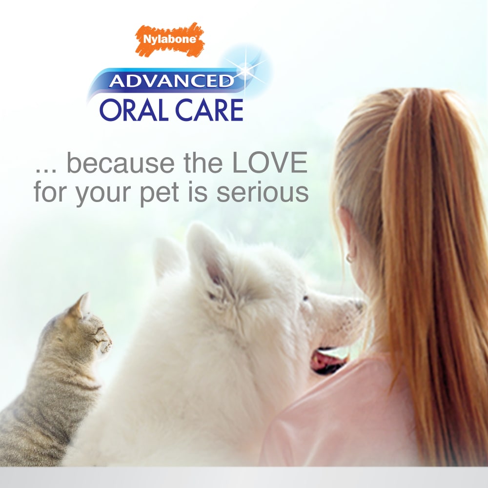 Nylabone Advanced Oral Care Cat Dental Kit One Size Dental Hygiene