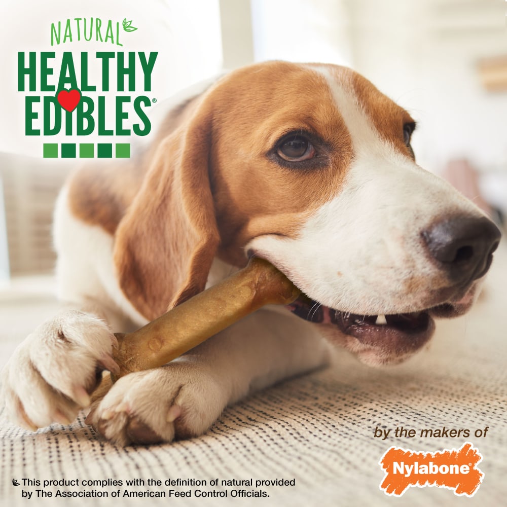 Nylabone Healthy Edibles Longer Lasting Bacon 2Ct Card Wolf Edible Treats
