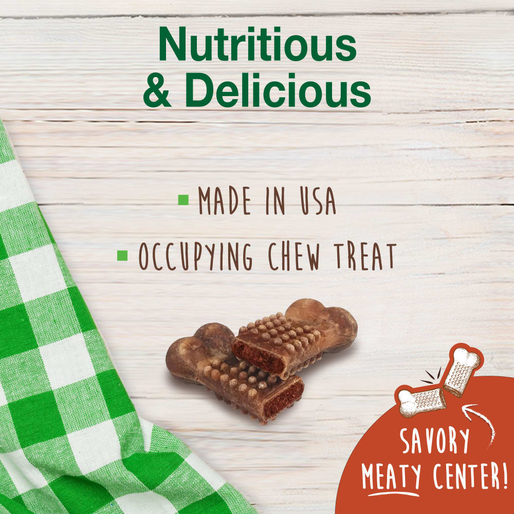 Nylabone Healthy Edibles Meaty Center 4Ct Card  Small Edible Treats