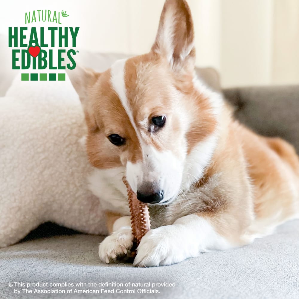 Nylabone Healthy Edibles Meaty Center 4Ct Card  Small Edible Treats