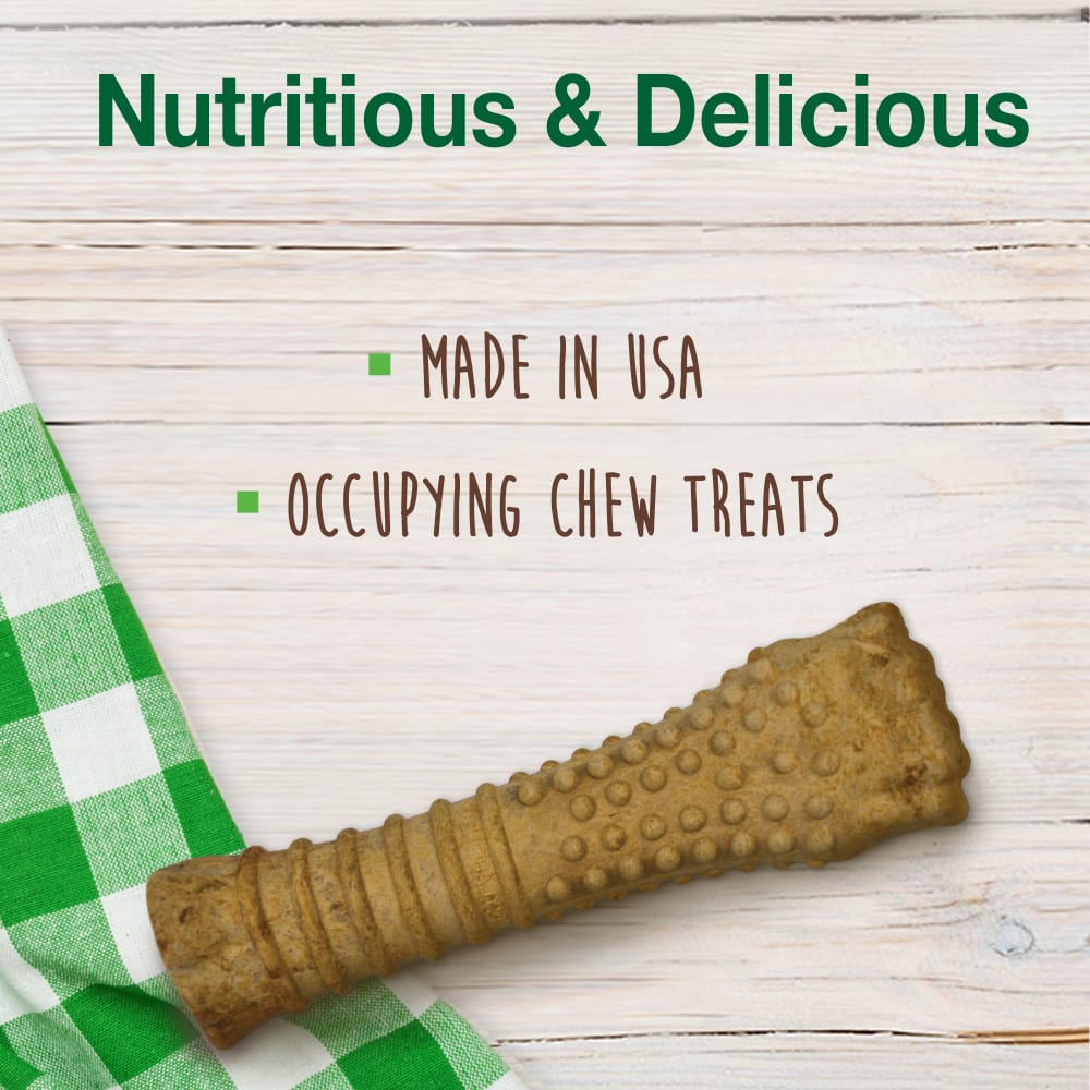 Nylabone Healthy Edibles Peanut Butter 1Ct Card  Souper Edible Treats