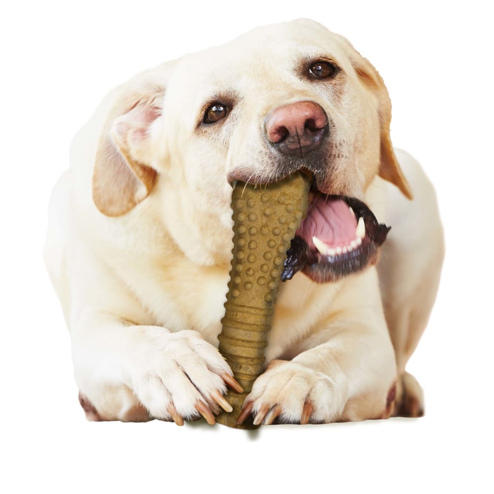 Nylabone Healthy Edibles Peanut Butter 1Ct Card  Souper Edible Treats
