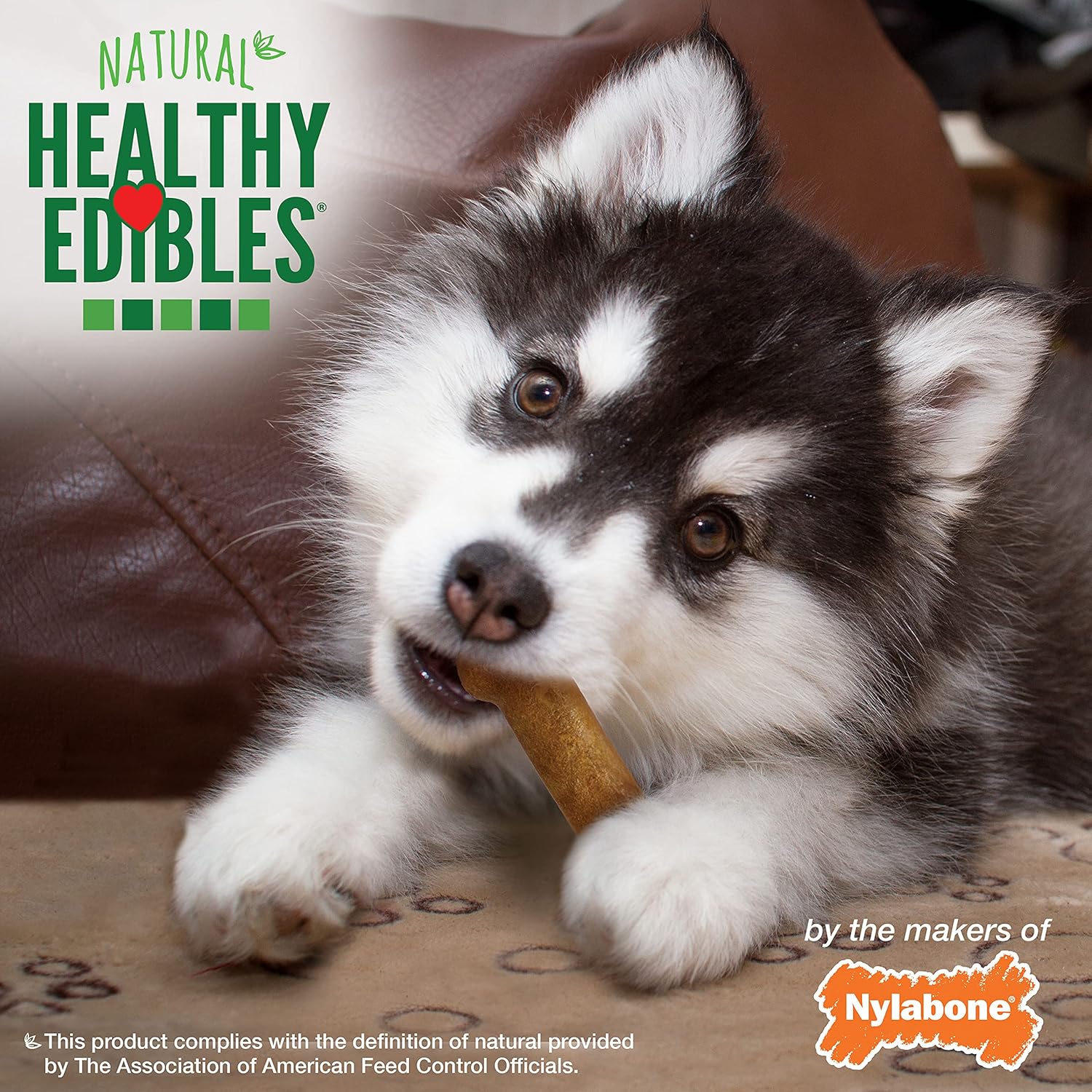 Nylabone Healthy Edibles Puppy Lamb & Apple 4Ct Card Petite Edible Treats
